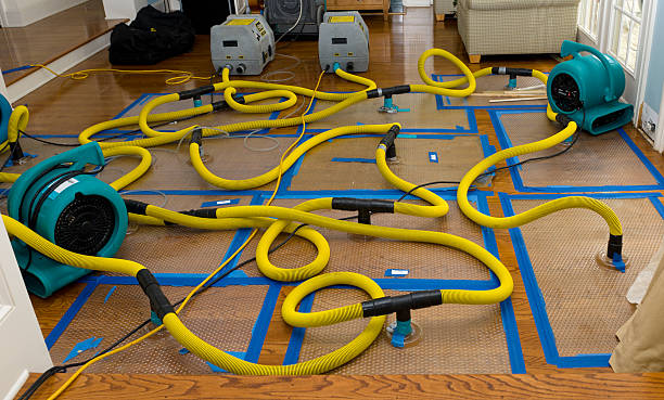 Professional Water Damage Restoration technician working in Welch, MN
